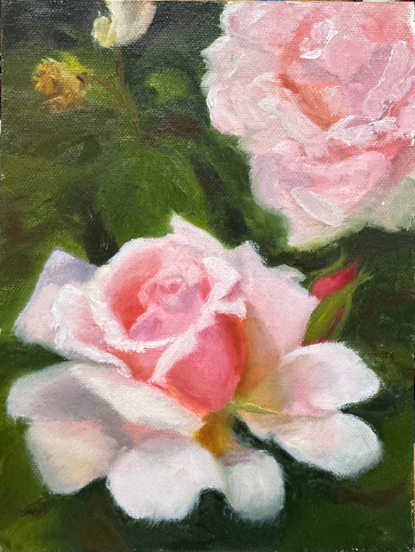 Roses in Reverie by Pat Wattam