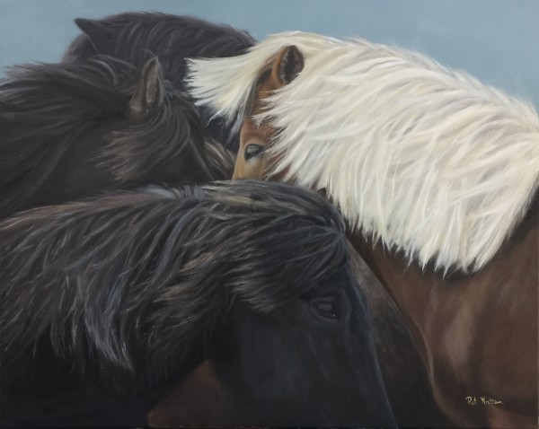 Icelandic Ponies by Pat Wattam
