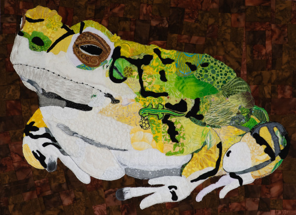 Sonoran Green Toad by Bill Meek and Denny Peterson