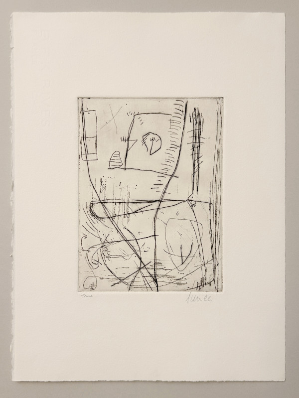 Trace 2/10 by Shanti Conlan