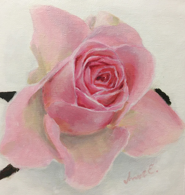 Pieni ruusu by Anne Engholm