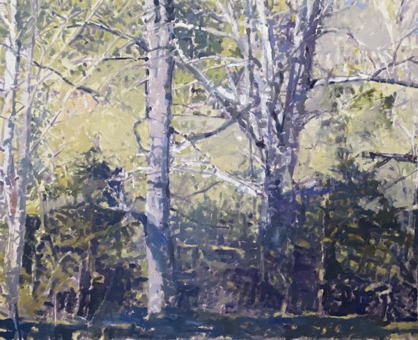 Trees Along Opossum Creek, Early April Afternoon by Annie Harris Massie