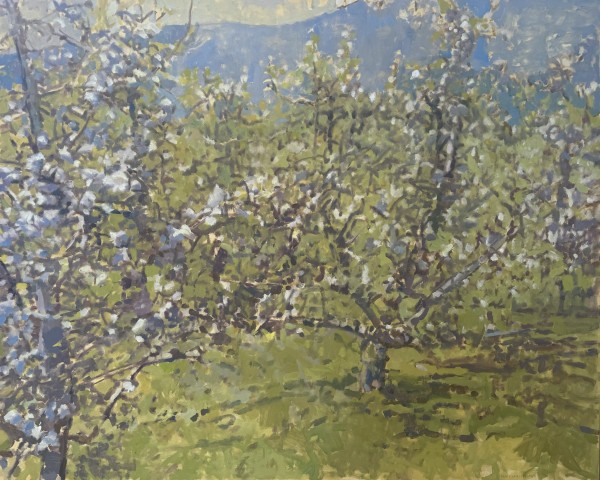 Little Orchard at Jack Mountain by Annie Harris Massie