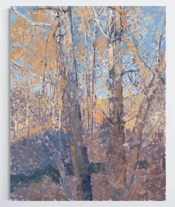 Sycamore Trees Above Opossum Creek by Annie Harris Massie