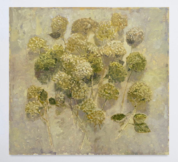 Pale Annabelle Hydrangea by Annie Harris Massie