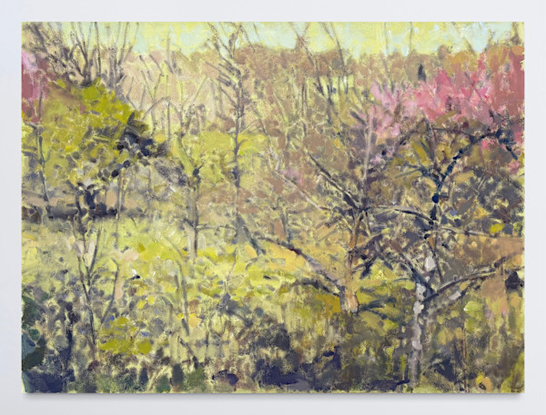 Orchard, Distant Lone Jack Barn by Annie Harris Massie