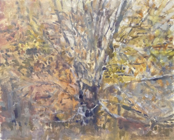 Maple Tree in the Sunlight for Lyn by Annie Harris Massie