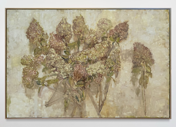 Faded Bobo Hydrangea by Annie Harris Massie