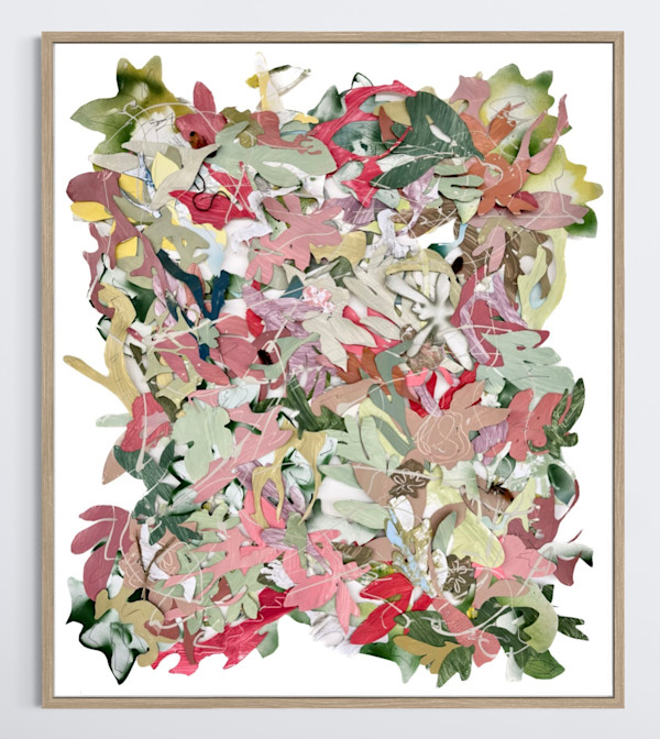 The Color of Summer. Indian Paintbrush ii by Susan McAlister, Image 4.