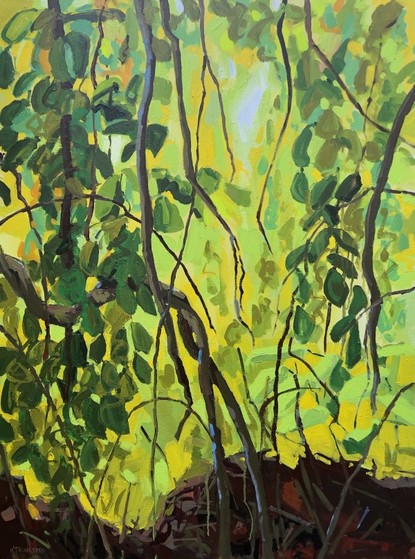 Evening Light Passage by Krista Townsend