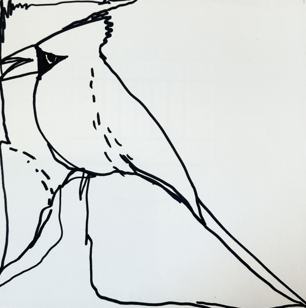 Bird 11C by Sanda Iliescu