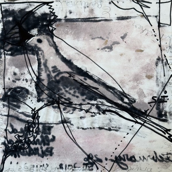 Bird 12B by Sanda Iliescu