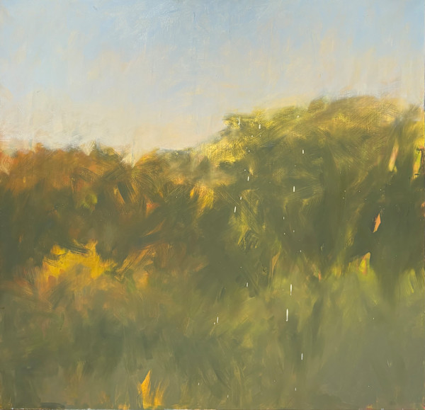Golden Light by Janet Bruce