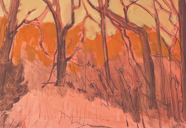 Once the Color of Fire (5) by David Hawkins