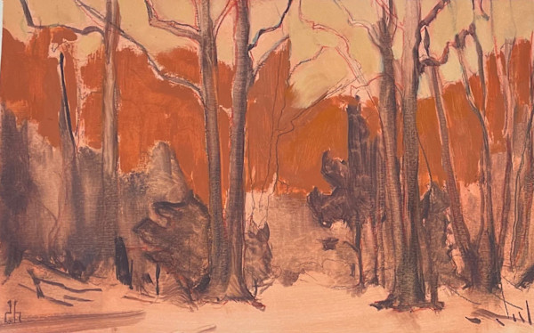 Once the Color of Fire (6) by David Hawkins