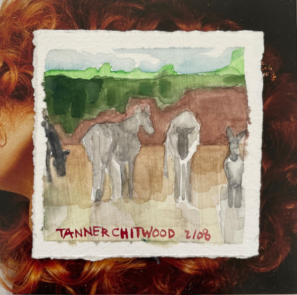 Light on their Coat by Suzanne Tanner