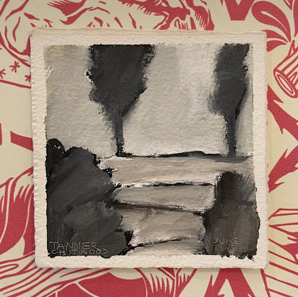 Light in the Four Trees by Suzanne Tanner