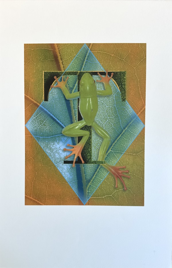 N/A by Anne Chesnut