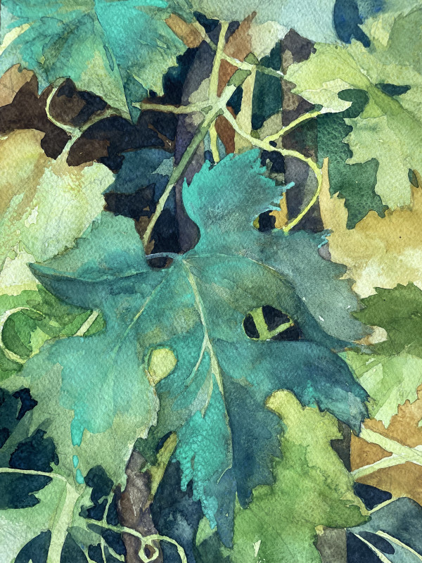 Grape Vine (SL 161 A) by Lincoln Perry
