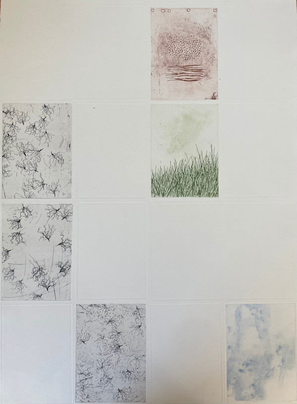 Herbaria: locus by Kris Iden