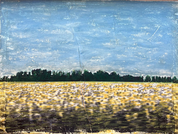Sunflower Field at 75mph by Kathy Kuhlmann