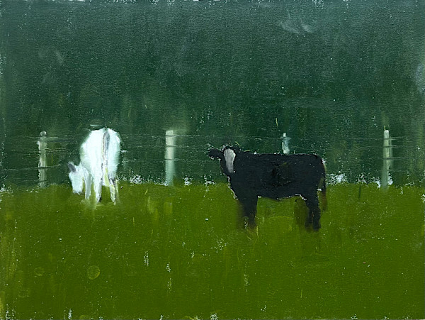Black and White Heifers by Pam Black