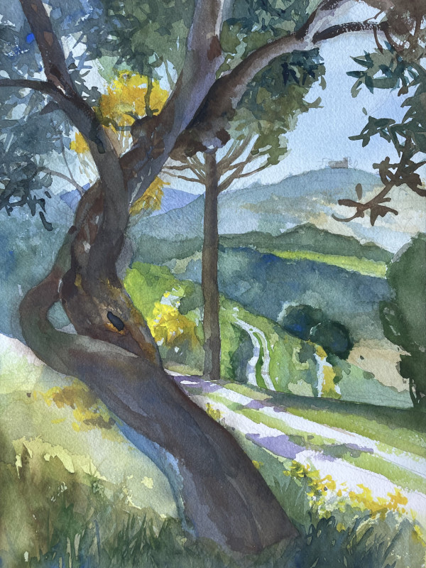 Umbria (L567A) by Lincoln Perry