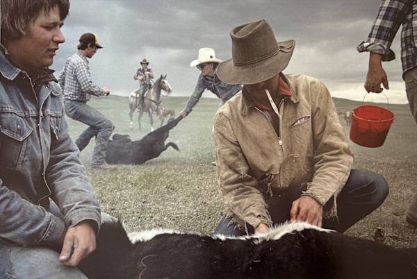 Buffalo, Montana by Sam Abell
