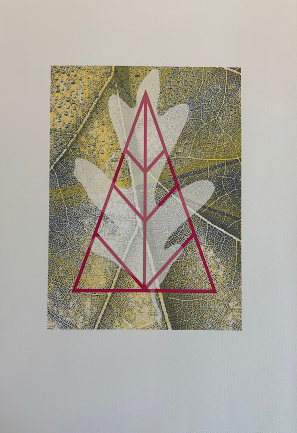 N/A by Anne Chesnut