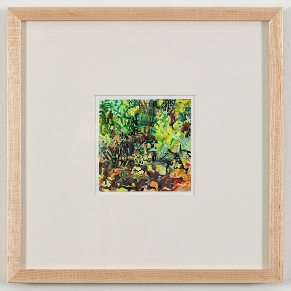 Understory Study by Krista Townsend