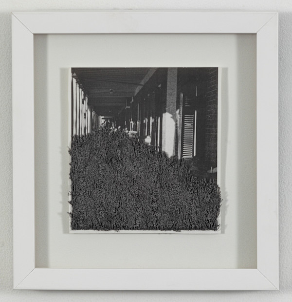 Strange Plants, Charlottesville (SP-EP-184) by Heather Beardsley
