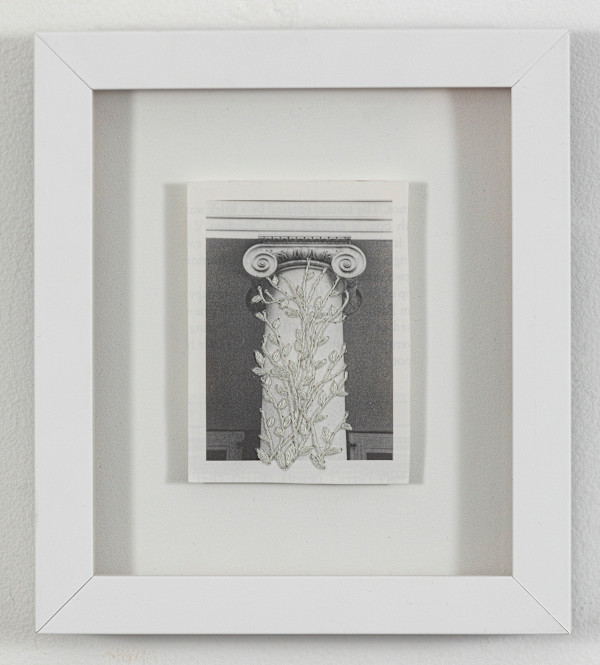 Strange Plants, Charlottesville (SP-EP-180) by Heather Beardsley