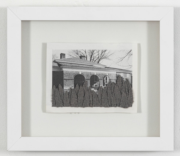 Strange Plants, Charlottesville (SP-C-182) by Heather Beardsley