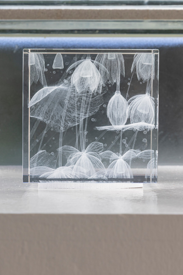 NINFEO Block V by Wolfgang Buttress