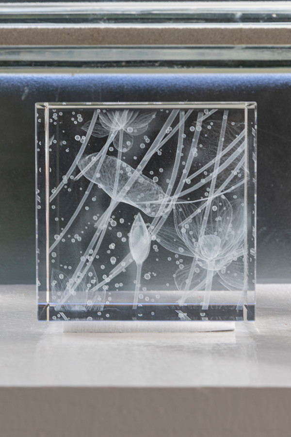 NINFEO Block I by Wolfgang Buttress