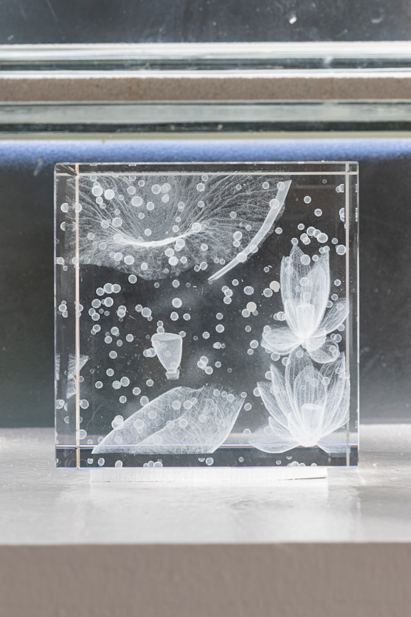 NINFEO Block II by Wolfgang Buttress