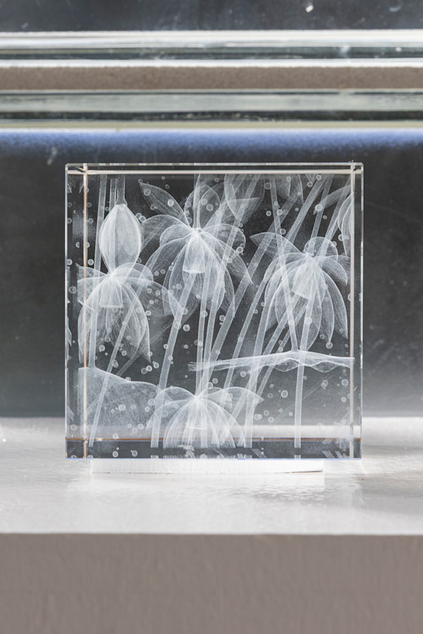 NINFEO Block III by Wolfgang Buttress