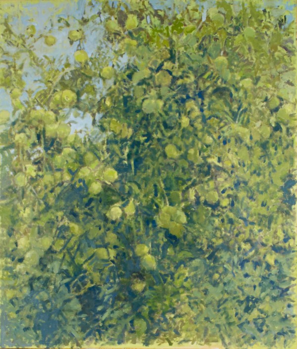 Late Summer Apples at Noon by Annie Harris Massie