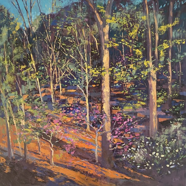 Spring Woods: Morning Light by Laura Wooten