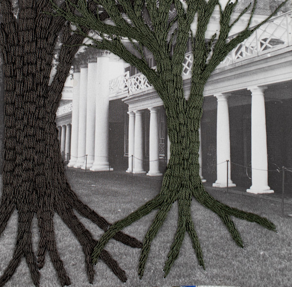 Strange Plants, Charlottesville (SP-EP-202) by Heather Beardsley