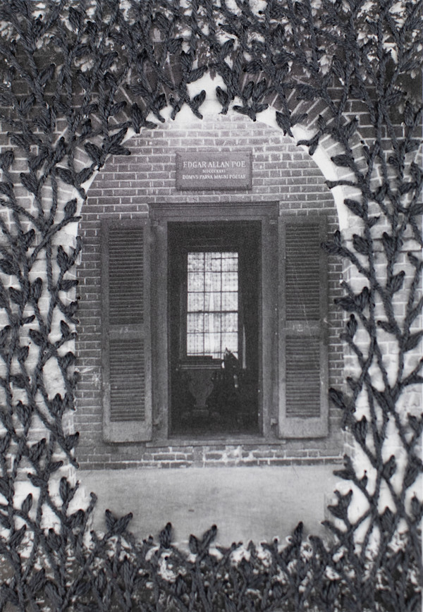 Strange Plants, Charlottesville (SP-EP-203) by Heather Beardsley