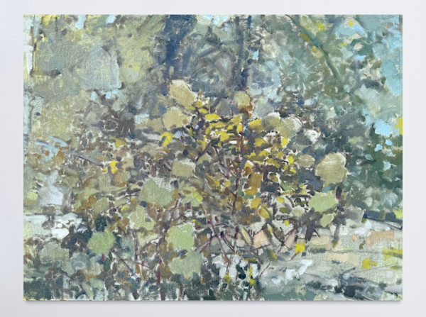 In the Moonlight by Annie Harris Massie