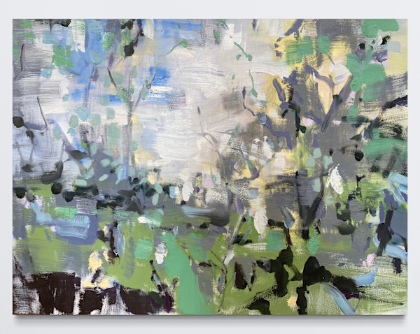 Spring Shadows & The Forest Floor by Susan McAlister