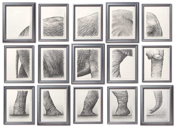 Elephant Drawing by Christophe Vorlet
