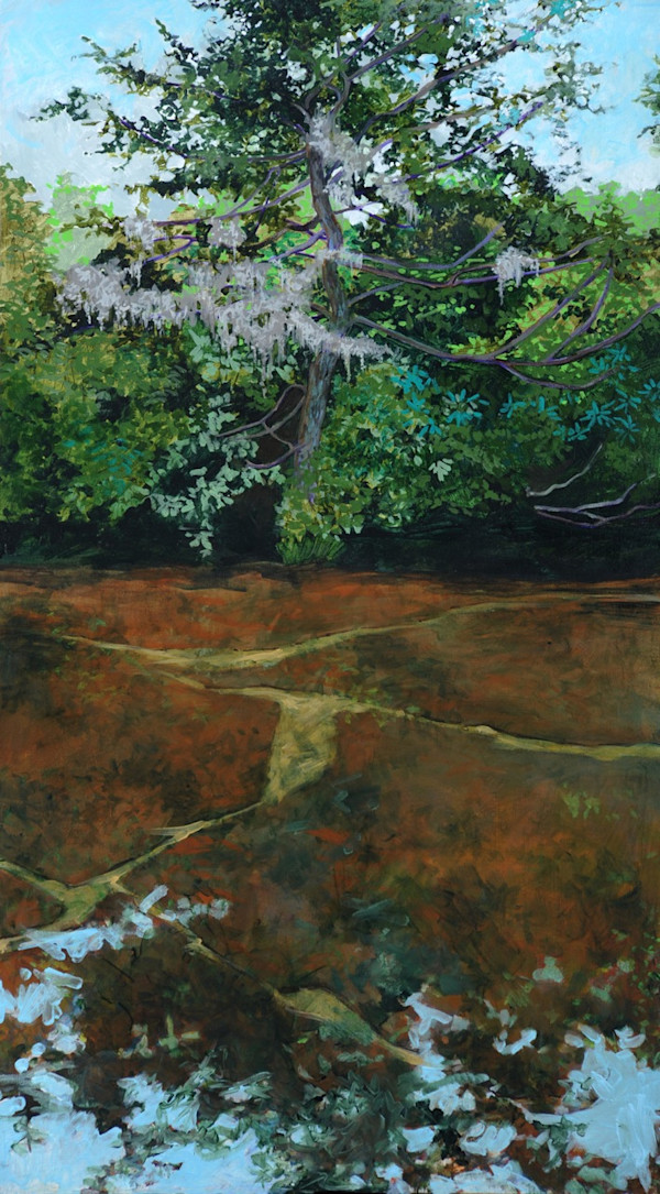 Creek with Fissures by Elizabeth Bradford