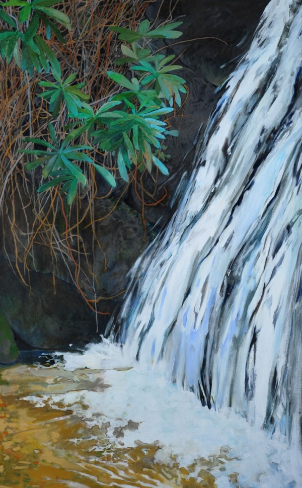 Frolic Falls by Elizabeth Bradford
