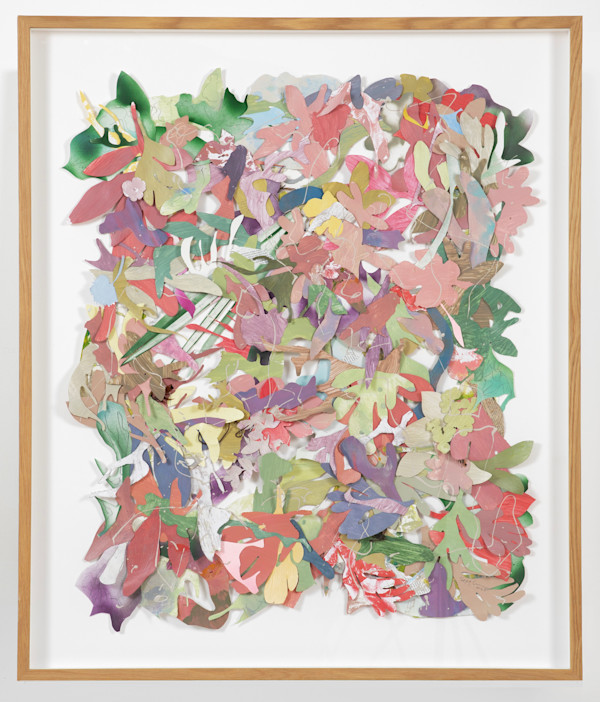 The Color of Summer. Indian Paintbrush i by Susan McAlister, Image 1.