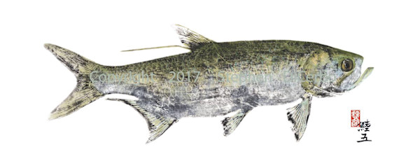 Chokusetsu-ho Atlantic Tarpon (Giclee’) by Stephen Mutsugoroh DiCerbo
