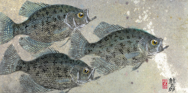Black Crappie Trio 1 by Stephen Mutsugoroh DiCerbo, Image 1.