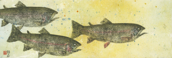 Eagle Lake Rainbow Trout Trio 1 by Stephen Mutsugoroh DiCerbo